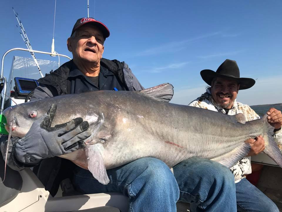 Lake Texoma Report Texas Fishing Forum